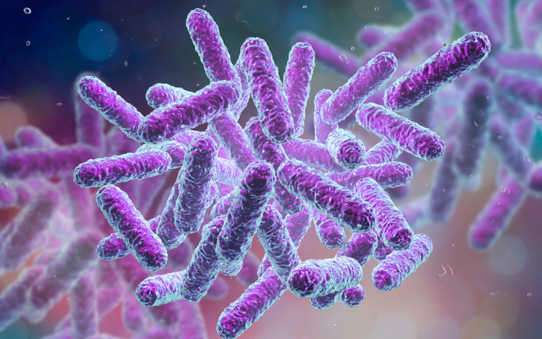 Microbiome: to learn more to look good